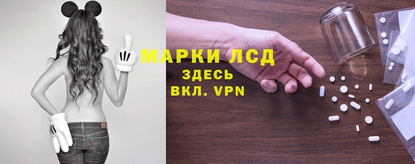 прущие грибы Алзамай