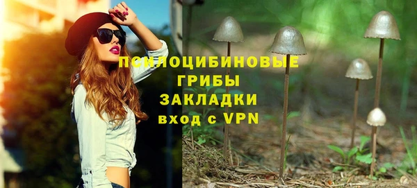 прущие грибы Алзамай