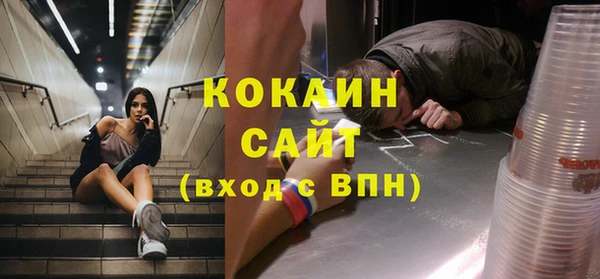 прущие грибы Алзамай