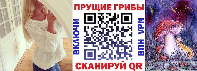 Псилоцибиновые грибы Psilocybe  omg онион  Аркадак 